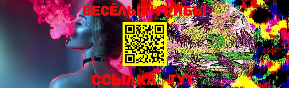 Псилоцибиновые грибы MAGIC MUSHROOMS  где купить наркоту  Шелехов  Псилоцибиновые грибы мицелий  Вход с VPN 